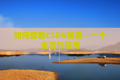 如何查看CSDN博客—一个全面的指南